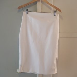 Express Pencil Skirt